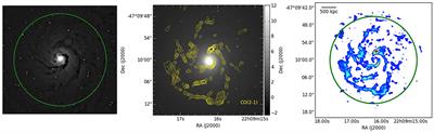 Probing the Gas Fueling and Outflows in Nearby AGN with ALMA